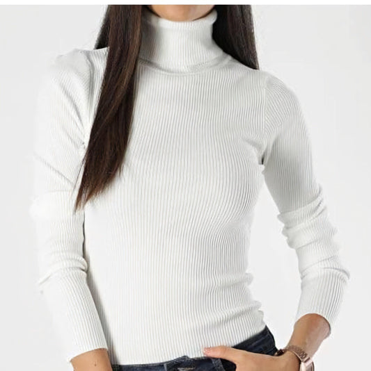 Woman's polar necks Sweater Poshy's closet